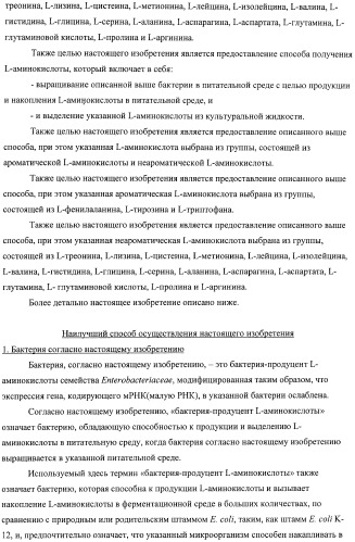 Способ получения l-аминокислот с использованием бактерии, принадлежащей к роду escherichia, в которой инактивирован один или несколько генов, кодирующих малые рнк (патент 2395567)