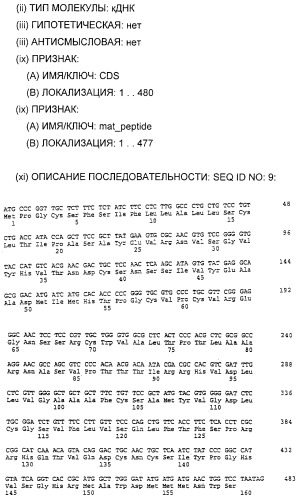 Очищенные белки оболочки вируса гепатита с для диагностического и терапевтического применения (патент 2313363)