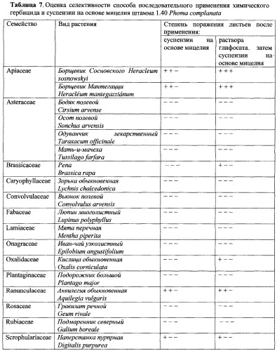 Способ борьбы с нежелательной травянистой растительностью класса dicotyledones (патент 2543665)