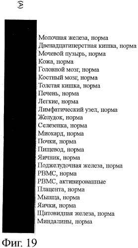 Идентификация опухолевых антигенов для диагностики и терапии (патент 2485974)