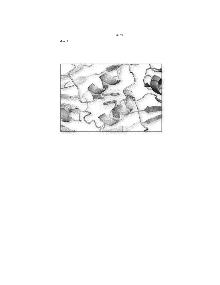 Стабилизированные капсиды fmdv (патент 2663004)