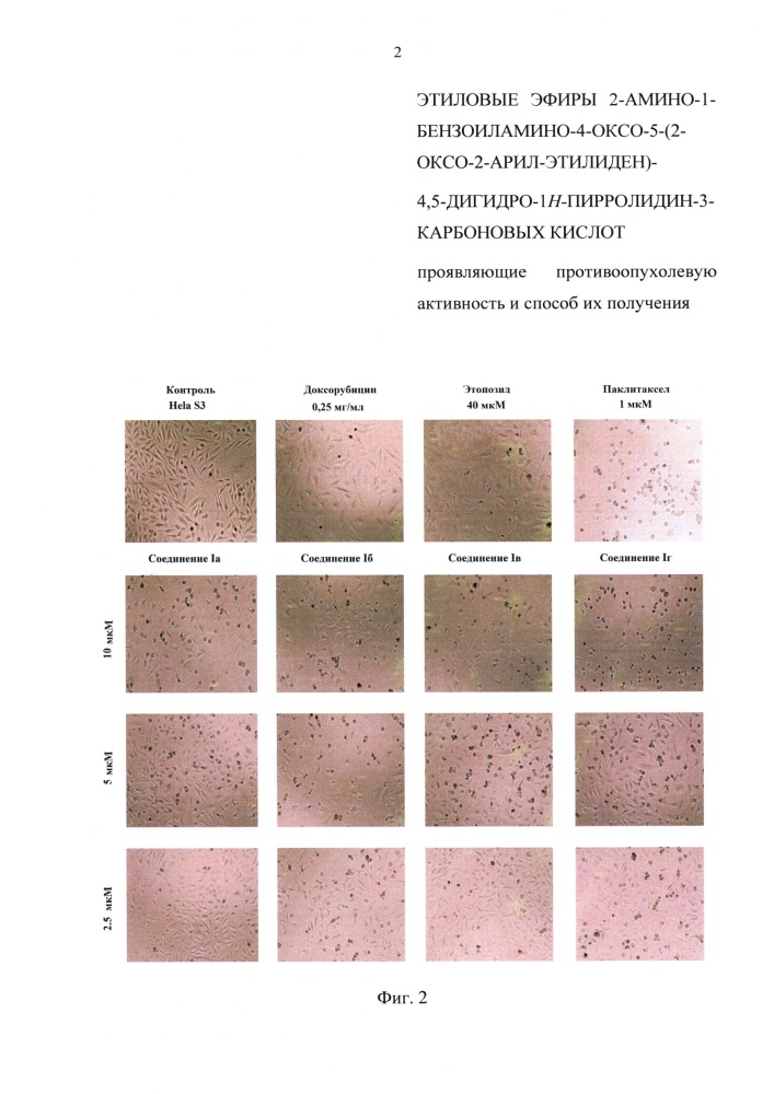 Этиловые эфиры 2-амино-1-бензоиламино-4-оксо-5-(2-оксо-2-арил-этилиден)-4,5-дигидро-1h-пирролидин-3-карбоновых кислот, проявляющие противоопухолевую активность, и способ их получения (патент 2607920)