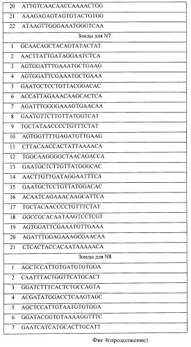 Способ выбора днк-зондов для микрочиповой диагностики, биочип и способ типирования гена нейраминидазы и гемагглютинина вируса гриппа а (патент 2470076)