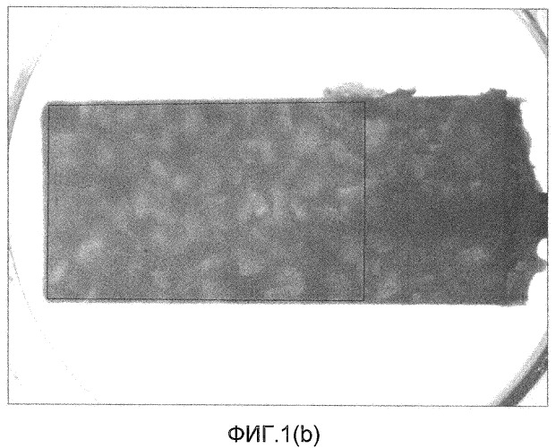 Замороженное кондитерское изделие (патент 2493721)