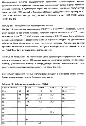 Способ получения полиненасыщенных кислот жирного ряда в трансгенных организмах (патент 2447147)