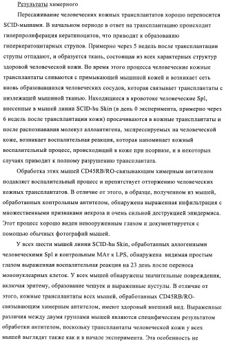 Связывающие молекулы, обладающие терапевтической активностью (патент 2386639)