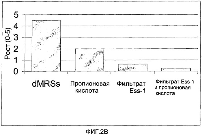 Lactobacillus fermentum ess-1, dsm17851, и его применение для лечения и/или профилактики кандидоза и инфекций мочевых путей (патент 2413761)