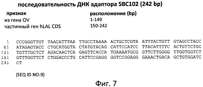 Фермент лизосомальной болезни накопления (патент 2575074)