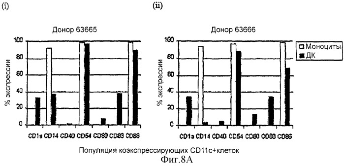 Генерирование дендритных клеток из моноцитарных предшественников дендритных клеток с помощью gm-csf в отсутствие дополнительных цитокинов (патент 2364625)