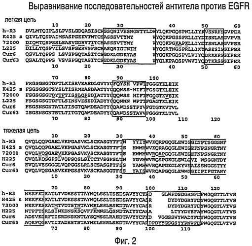 Лечение опухолей, экспрессирующих мутантные рецепторы egf (патент 2429014)