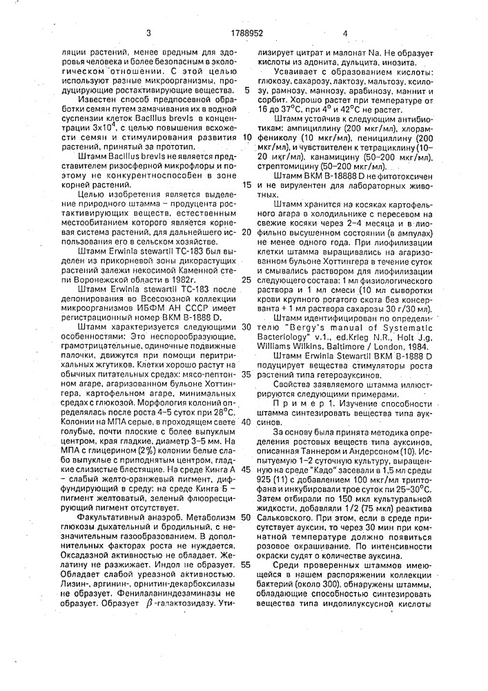 Штамм бактерий erwinia sтеwаrтii для получения стимулятора роста растений (патент 1788952)