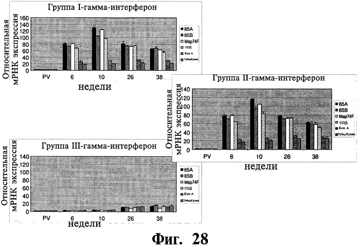 Фармацевтическая композиция и способ стимулирования иммунного ответа к мусоbacterium avium подвида paratuberculosis (патент 2489165)