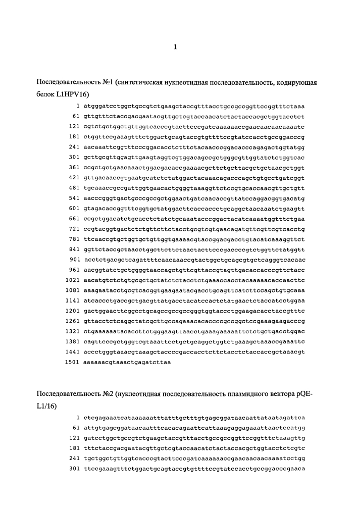 Рекомбинантный ген l1hpv16, рекомбинантная плазмида pqe-l1/16, белок l1hpv16 и их применение (патент 2628693)