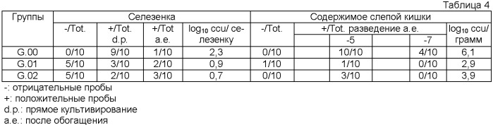 Вакцина против salmonella (патент 2455023)