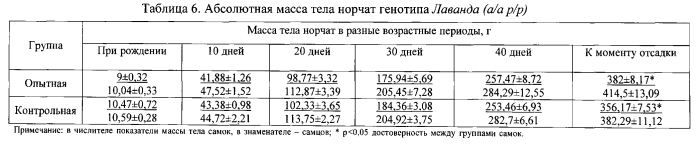 Способ повышения репродуктивной способности американской норки и жизнеспособности приплода (патент 2564092)