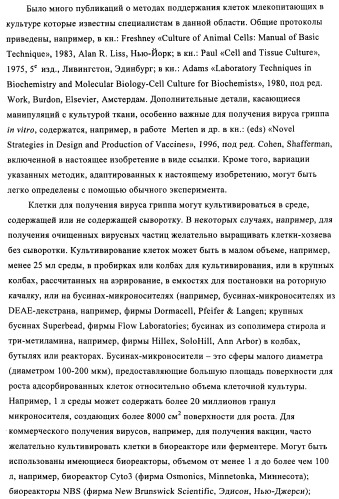 Способы и композиции для экспрессии антисмысловой вирусной рнк в клетках собаки (патент 2457250)