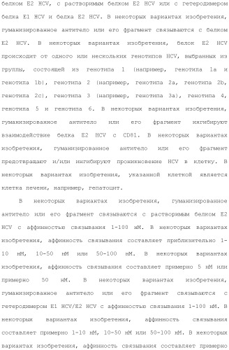 Антитела против вируса гепатита с (патент 2462475)