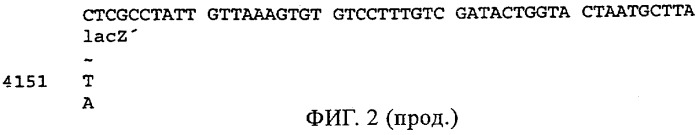 Антитела к a -пептиду и их применение (патент 2341533)