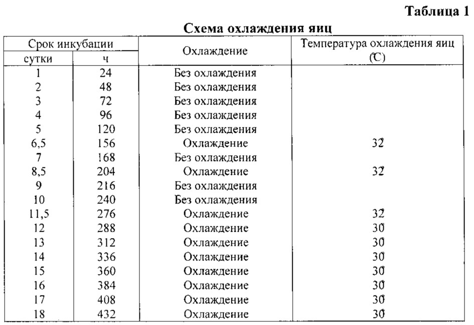 Способ инкубации яиц кур мясных и яичных кроссов (патент 2613282)