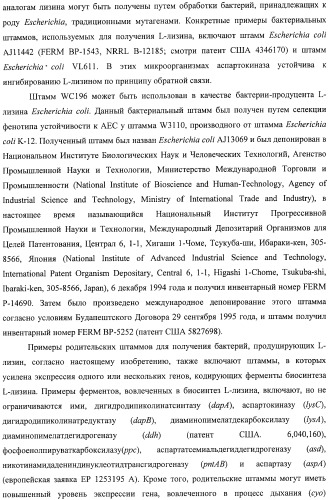 Способ получения l-треонина с использованием бактерии, принадлежащей к роду escherichia, в которой инактивирован ген msba (патент 2392313)