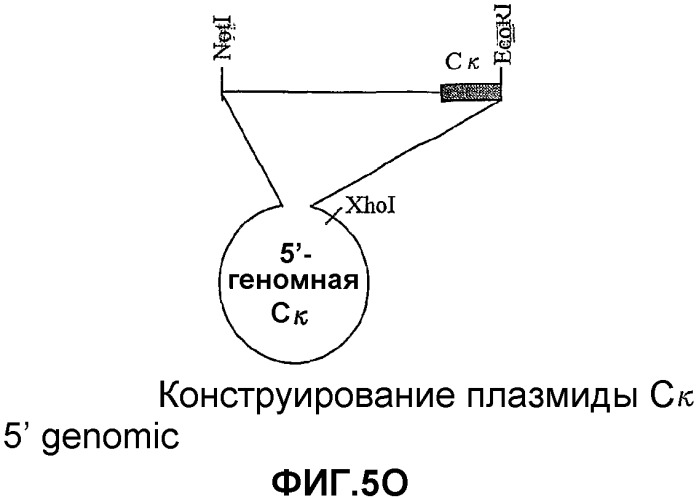 Желудочно-кишечный пролиферативный фактор и его применения (патент 2343158)