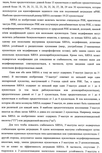 Идентификация опухолевых антигенов для диагностики и терапии (патент 2485974)