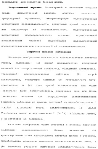 Клетка-хозяин trichoderma reesei для получения целлюлолитической белковой композиции, целлюлолитическая белковая композиция, способы ее получения и применения (патент 2494146)