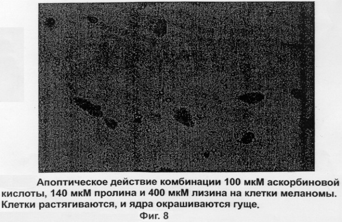 Композиция, ингибирующая матричные металлопротеиназы, предназначенная для лечения неопластических болезней (патент 2284185)