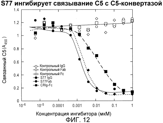 Антитела против c3b и способы профилактики и лечения связанных с комплементом нарушений (патент 2473563)