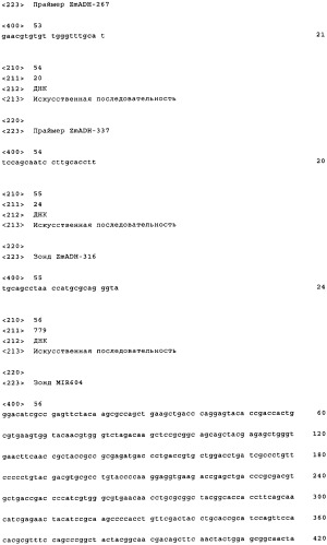 Вариант кукурузы mir604 (патент 2351122)