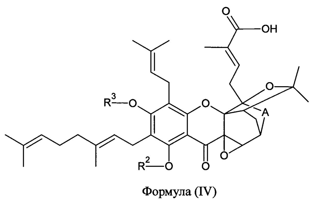 Производные гамбогеновой кислоты, способ их получения и применение (патент 2598032)
