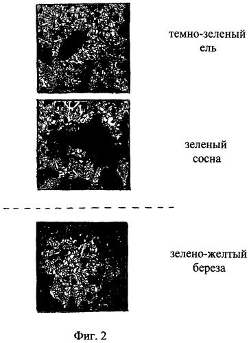 Способ определения состава насаждений (патент 2371910)