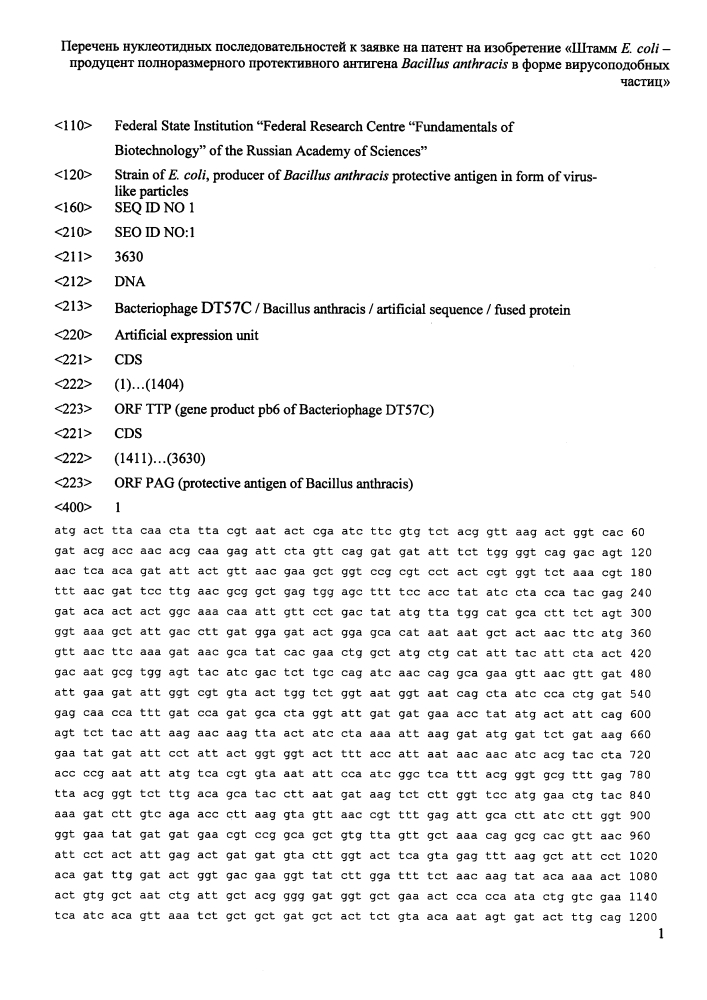 Штамм e.coli - продуцент полноразмерного протективного антигена bacillus anthracis в форме вирусоподобных частиц (патент 2633504)