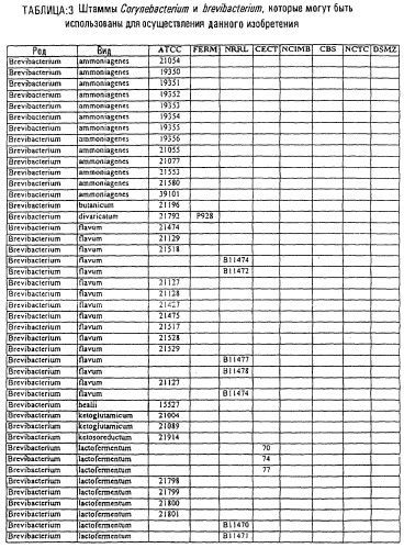 Гены corynebacterium glutamicum, кодирующие белки, участвующие в синтезе мембран и мембранном транспорте (патент 2312145)