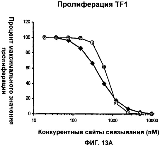 Антитела против интерлейкина-13 человека и их применение (патент 2427589)