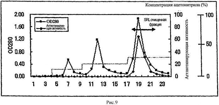 L-фукоза α1→6 специфичный лектин (патент 2524425)