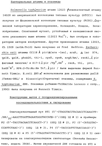 Vgc2 днк salmonella typhimurium, мутантная бактерия, обладающая пониженной способностью к адаптации к условиям окружающей среды, и способ ее получения (патент 2370541)