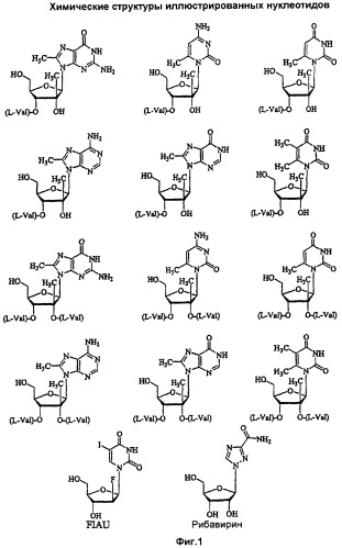 Модифицированные 2&#39;- и 3&#39;-нуклеозиды и их применение для получения лекарственного средства для лечения инфекций flaviviridae (патент 2483075)