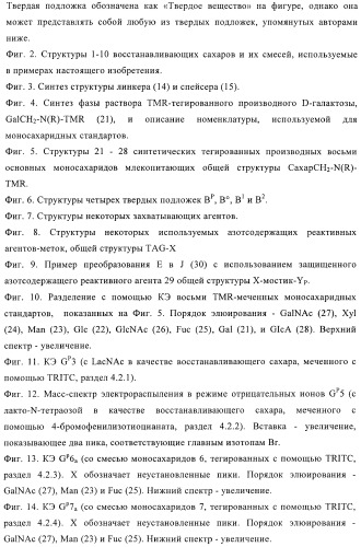 Твердофазное тегирование олигосахаридов: методика для манипуляции с иммобилизированными углеводами (патент 2398237)