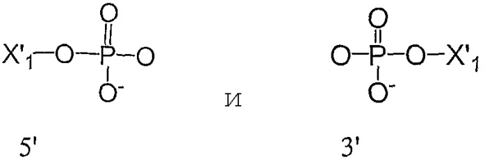 Полимерные олигонуклеотидные пролекарства (патент 2394041)