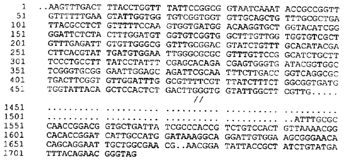 Антигены neisseria meningitidis (патент 2343159)