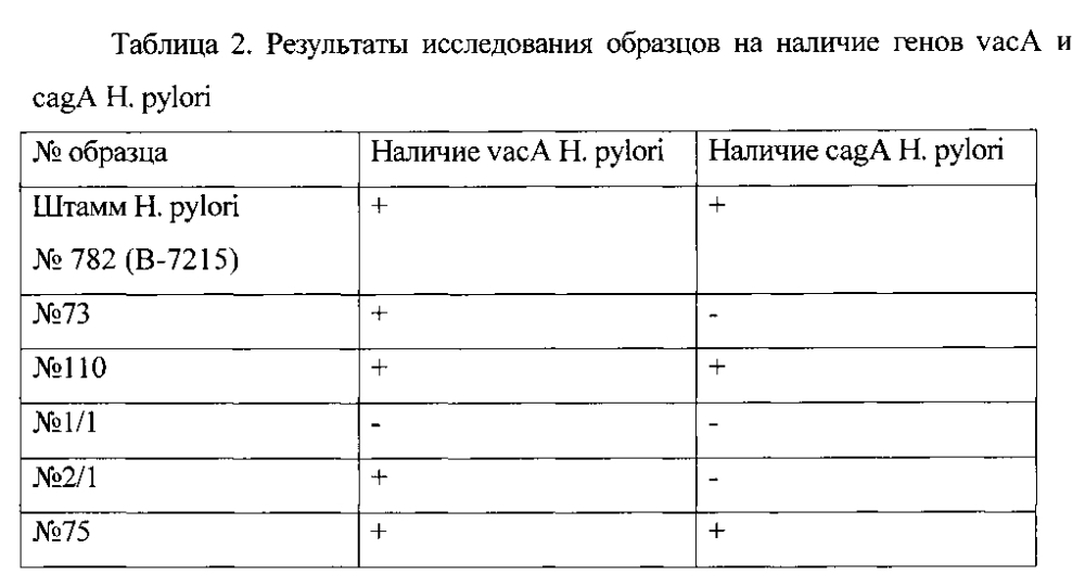 Тест-штамм микроорганизма helicobacter pylori гкпм-оболенск в-7215 для индикации и идентификации helicobacter pylori в образцах биоптатов слизистой оболочки желудка или двенадцатиперстной кишки (патент 2595422)