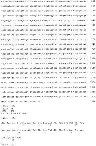 Pscaxcd3, cd19xcd3, c-metxcd3, эндосиалинxcd3, epcamxcd3, igf-1rxcd3 или fap-альфаxcd3 биспецифическое одноцепочечное антитело с межвидовой специфичностью (патент 2547600)