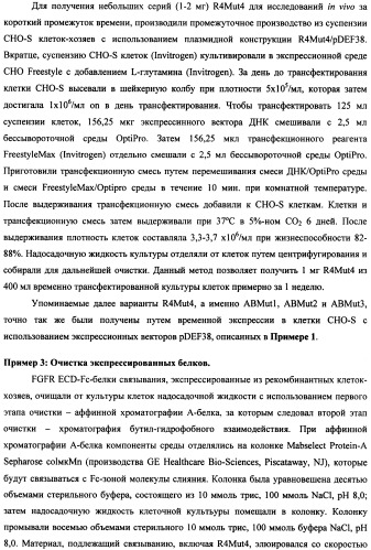 Мутеины кислотной зоны внеклеточного домена рецептора фактора роста фибробластов (патент 2509774)