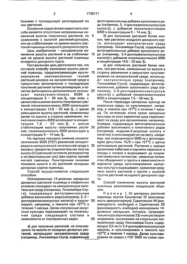 Способ изменения высоты растений пшеницы (патент 1738171)