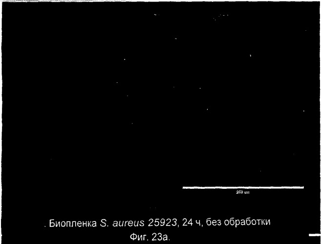 Ингибирование организмов биопленки (патент 2548786)