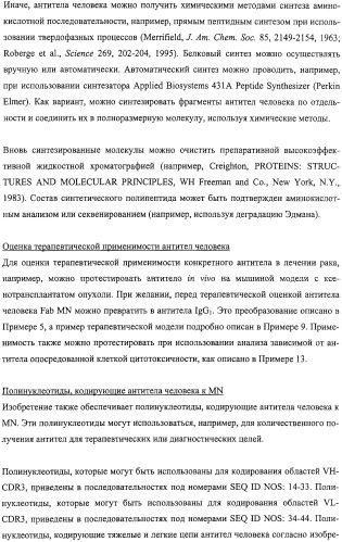 Антитела человека, обладающие активностью связывания c mn и нейтрализации клеточной адгезии (патент 2317998)