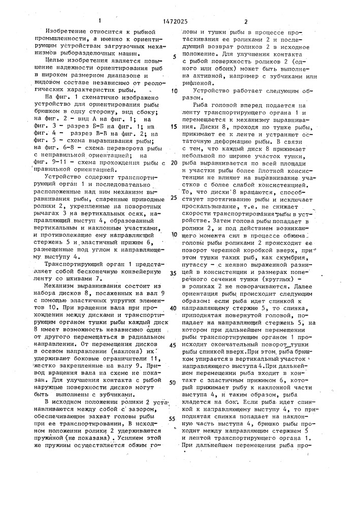 Устройство для ориентирования рыбы брюшком в одну сторону (патент 1472025)