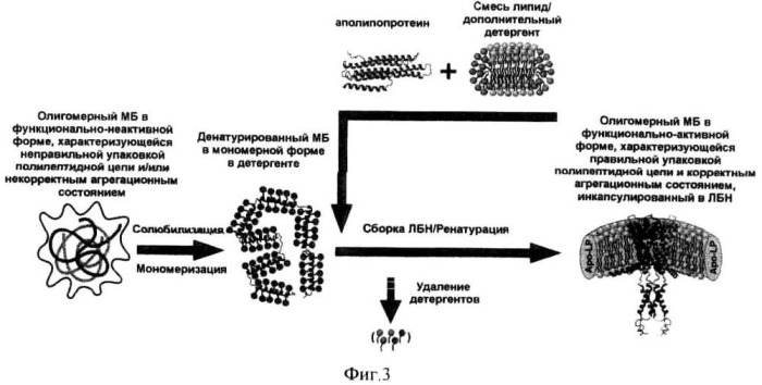 Способ ренатурации мембранных белков (патент 2500684)