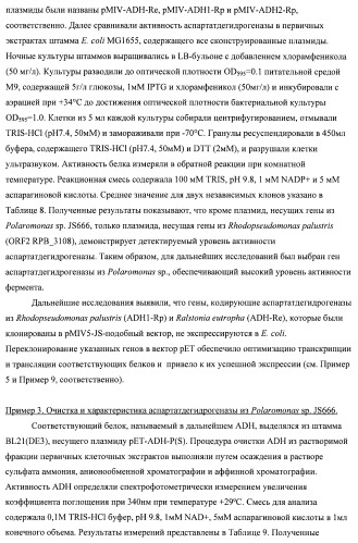 Бактерия семейства enterobacteriaceae - продуцент l-аспарагиновой кислоты или метаболитов, производных l-аспарагиновой кислоты, и способ получения l-аспарагиновой кислоты или метаблитов, производных l-аспарагиновой кислоты (патент 2472853)